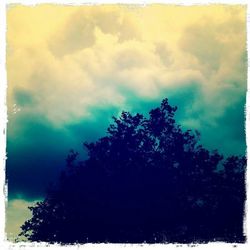 Low angle view of trees against cloudy sky