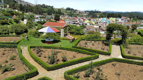 Trees on landscape with buildings in background