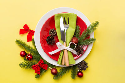 Directly above shot of potted plant on table