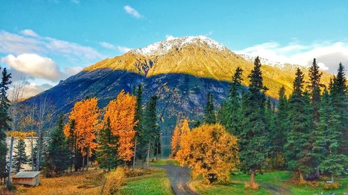 Trees on landscape against sky during autumn