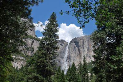 Low angle view of waterfall in forest against sky