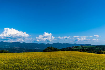 Scenic view of field against sky