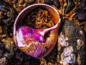 High angle view of purple rocks on rock