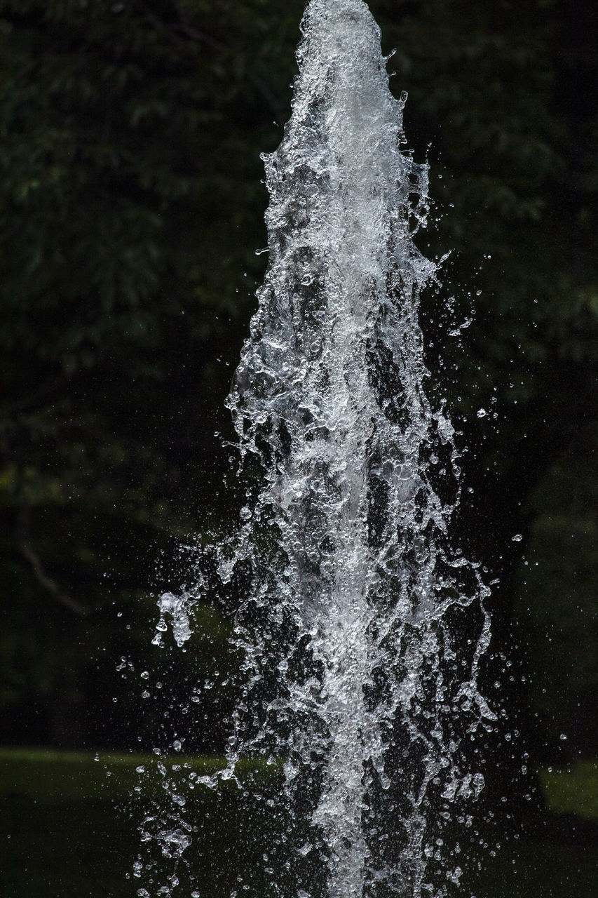 CLOSE-UP OF WATER SPLASHING ON TREE IN FOREST