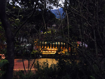 Arch bridge in park at night