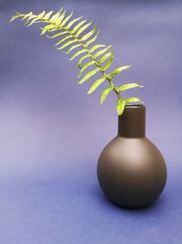 Close-up of vase on table against white background