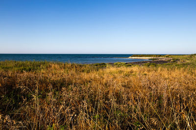 Scenic view of sea against clear blue sky