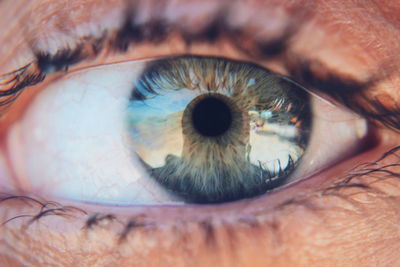 Close-up of human eye