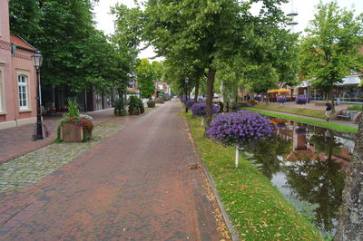 Street amidst trees and city against sky