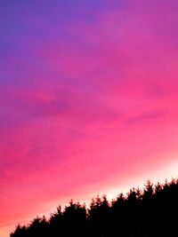 Low angle view of silhouette trees against romantic sky