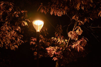 Low angle view of illuminated lights at night