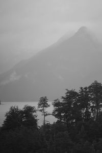 Trees on mountain against sky