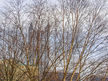 Low angle view of bare trees against clear sky