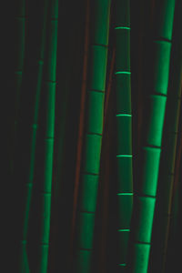 Full frame shot of bamboo