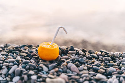 Close-up of fruits on table