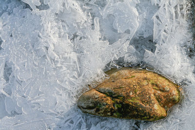 High angle view of stone setting into frozen patterned ice