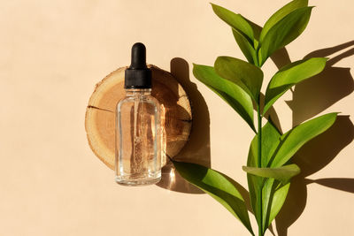 Transparent glass dropper bottle with serum, oil, hyaluron on a woodcut in the sunlight with ruscus