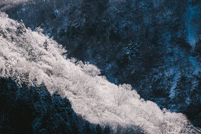 Scenic view of snow covered land