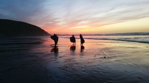 Silhouette people on beach against sky during sunset