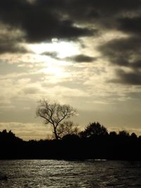 Silhouette trees by landscape against sky