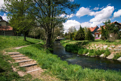 Trees and houses by canal against sky