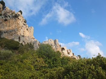 Low angle view of rocks and trees against sky