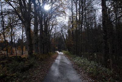 Road amidst trees in forest