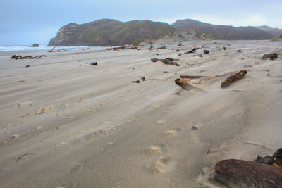 Scenic view of beach against sky
