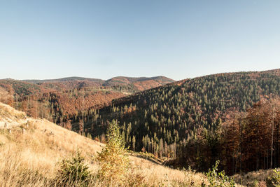 Scenic view of landscape against clear sky