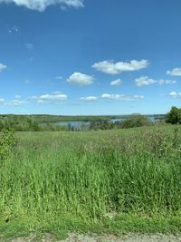 Scenic view of agricultural field against sky