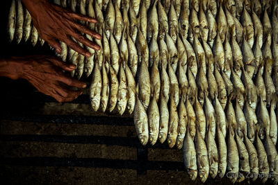 Cropped image of vendor arranging fish for sale at market stall