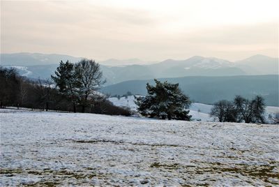 Scenic view of snowcapped mountains against sky