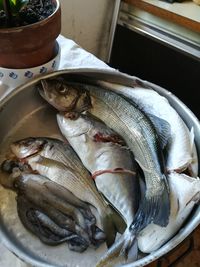 High angle view of fish for sale in market