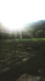 Scenic view of field against clear sky