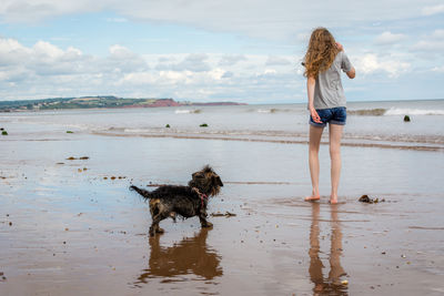 Rear view of girl with dog standing on shore at beach