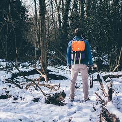 Rear view of a man in forest