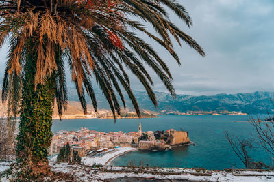 Palm trees by sea against sky