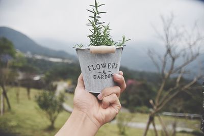 Close-up of hand holding plant against blurred background