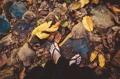 Low section of person standing on rock during autumn