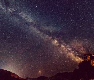 Low angle view of star field against sky at night