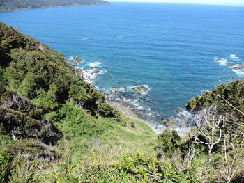 High angle view of sea and trees