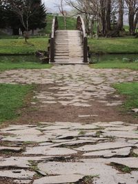 Footpath amidst trees in park