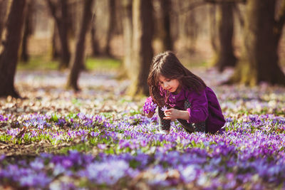 Rear view of woman on purple flowering plants on land