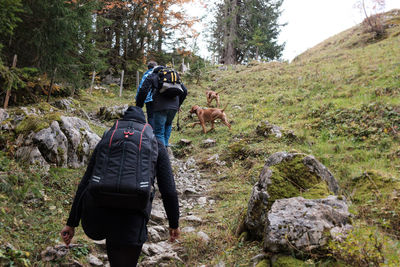 Rear view of woman with dog in forest