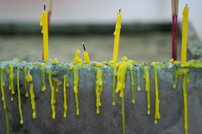 Close-up of yellow metal fence against water