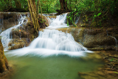 Scenic view of waterfall in forest