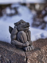 Close-up of lizard on rock