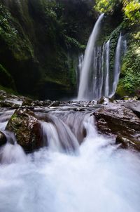 Scenic view of waterfall in forest