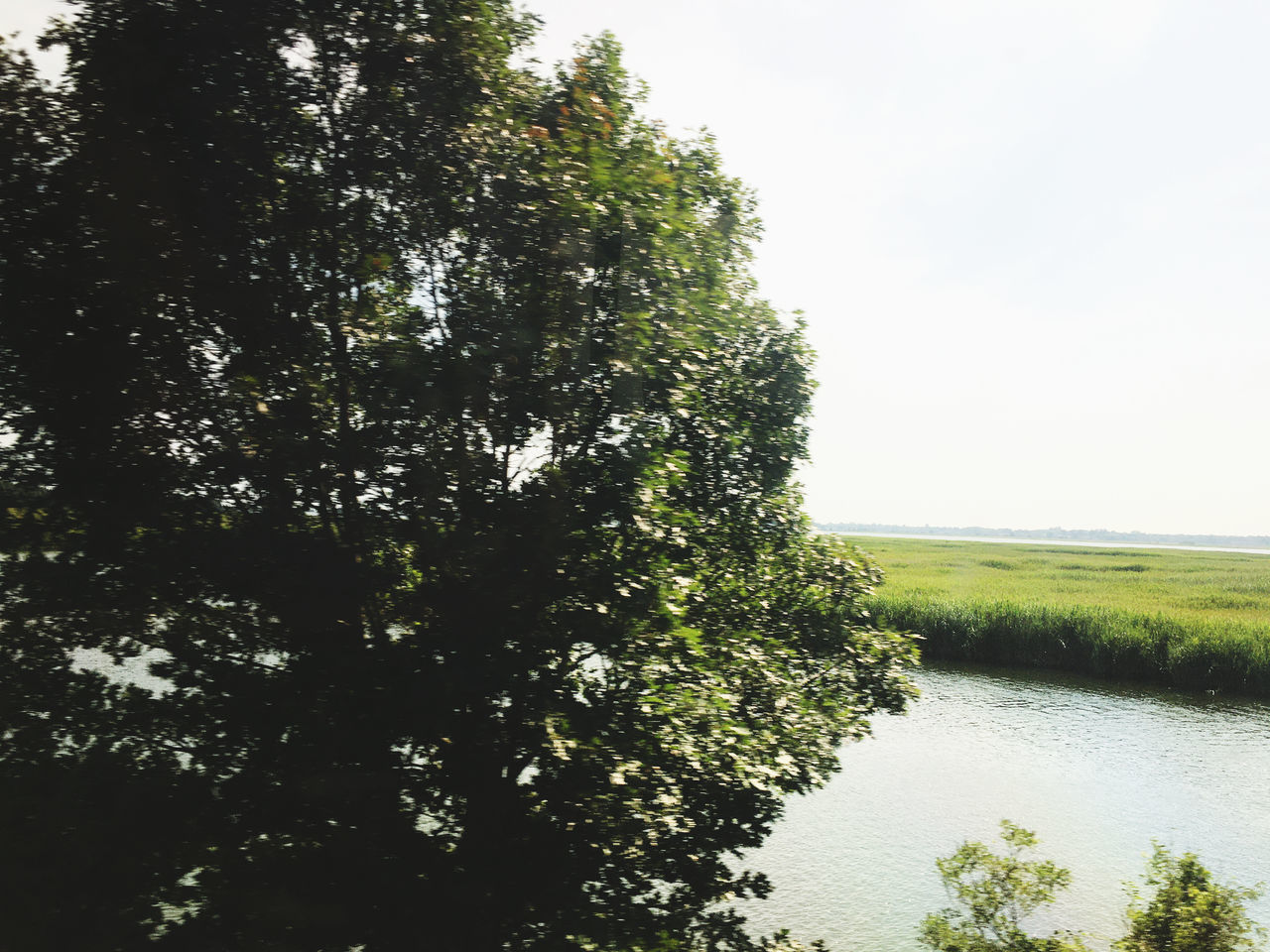 plant, tree, water, nature, sky, beauty in nature, tranquility, green, growth, lake, no people, scenics - nature, tranquil scene, grass, day, leaf, reflection, outdoors, non-urban scene, environment, rural area, landscape, land, waterway, natural environment, idyllic