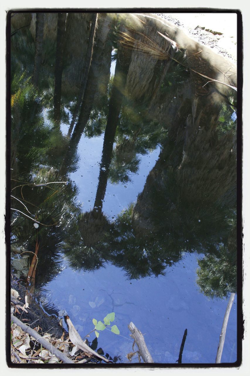 water, reflection, transfer print, lake, tree, auto post production filter, tranquility, nature, tranquil scene, scenics, beauty in nature, standing water, day, waterfront, river, outdoors, no people, pond, high angle view, sunlight